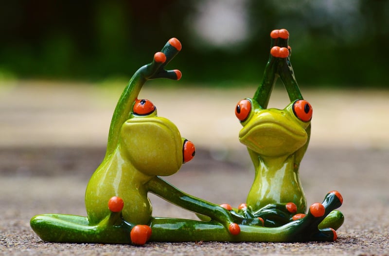 Winsor Pilates